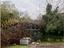 Immagine 12