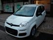 Fiat Panda 1.2 Easy Neopatentati