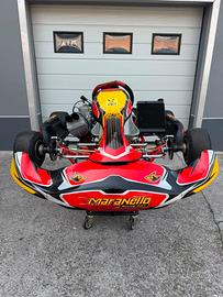 🏁 GO KART KZ – TM KZ10C COMPLETAMENTE REVISIONATO