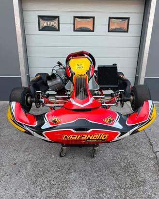 🏁 GO KART KZ – TM KZ10C COMPLETAMENTE REVISIONATO