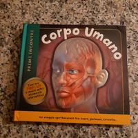 Corpo umano