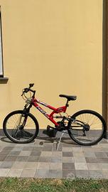 Mountain bike