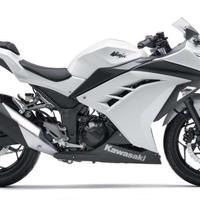Kawasaki Ninja 300 - Pezzi di Ricambio