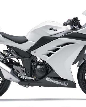 Kawasaki Ninja 300 - Pezzi di Ricambio