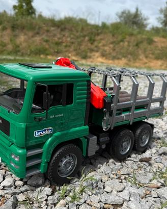 Camion Man silvicultura