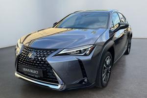 Lexus UX Hybrid Executive 2WD
