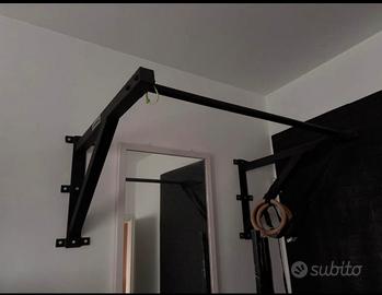 Sbarra trazioni Lacertosus pull up bar