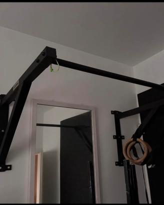 Sbarra trazioni Lacertosus pull up bar