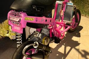ZIP 77cc big bore