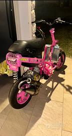ZIP 77cc big bore
