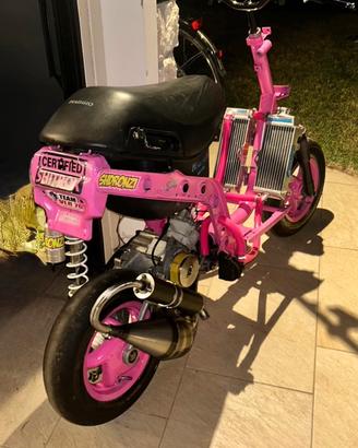 ZIP 77cc big bore