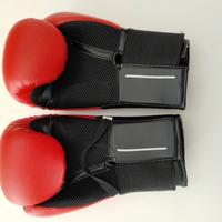 Guanti da boxe 