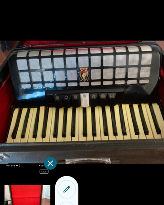 FISARMONICA PARROT NERA 80 BASSI