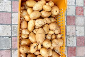 attrezzi agri