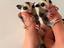 Immagine 4