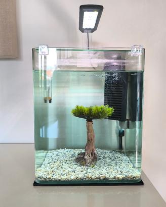 Acquario Amtra Nanotank 18 litri