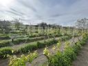 terreno-agricolo-grottaferrata