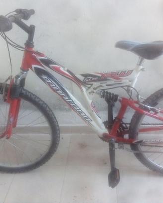 Bici mtb