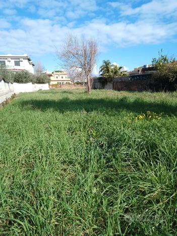 San Felice Circeo terreno agricolo