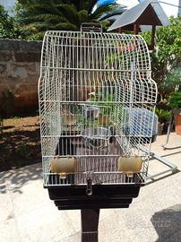 gabbia per uccelli