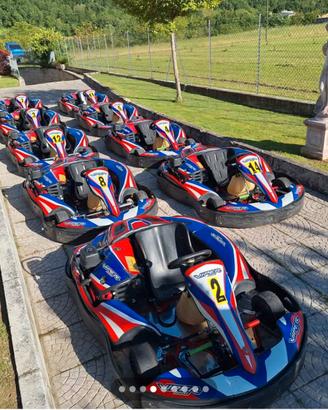 FLOTTA GO KART TONY KART