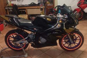 Aprilia RS 50 - 2008