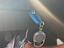 Immagine 17