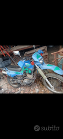 Xt 600