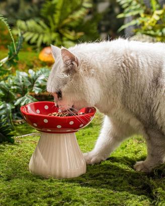 Ciotola gatti in ceramica a forma di fungo