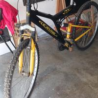 bicicletta per ragazzi