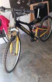 bicicletta per ragazzi