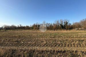 TER. RESIDENZIALE A TREVISO