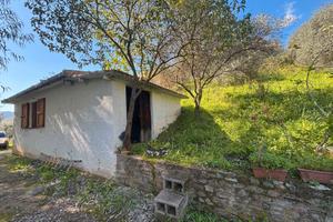 Villacidro - Ricovero attrezzi con oliveto