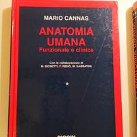 Libro di anatomia Umana