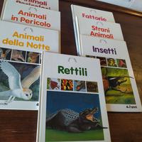 Collana Scopri il mondo - Editrice Piccoli