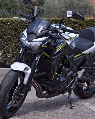 Kawasaki Z650 2020  **TAGLIANDI UFFICIALI**