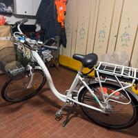 Bicicletta elettrica