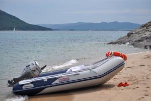 Gommone Honda marine T32 + Honda 10 Hp