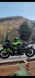 Kawasaki Ninja 636 KRT Performance
