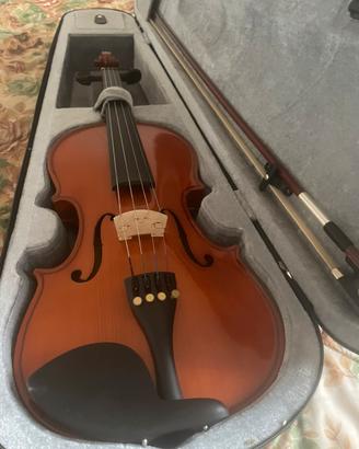 Violino