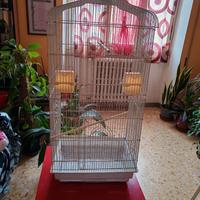 Gabbia e trasportini in metallo