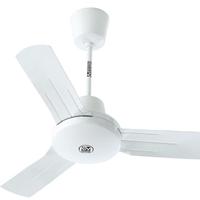 Ventilatore  Vortice da soffitto