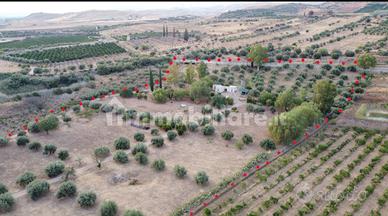 Terreno agricolo di quasi 3 ettari