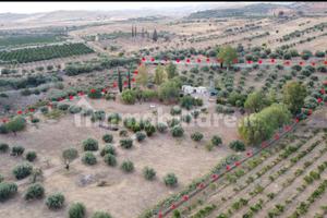 Terreno agricolo di quasi 3 ettari