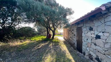 Funtanazza. Villetta libera su quattro lati