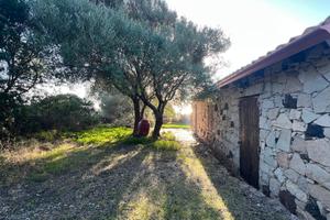 Funtanazza. Villetta libera su quattro lati