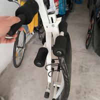 panca per addominali