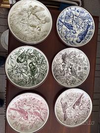 Collezione 6 piatti