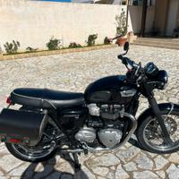 Triumph Bonneville T100