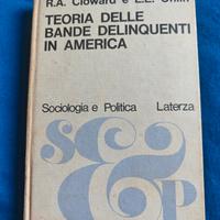 Teorie delle bande delinquenti in America 